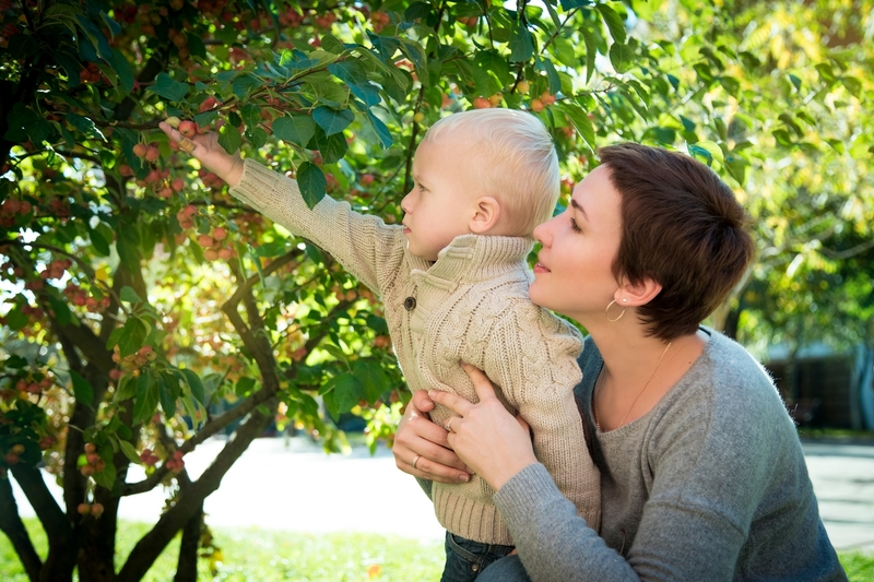 Img 5176 %d0%be%d0%b1%d1%80